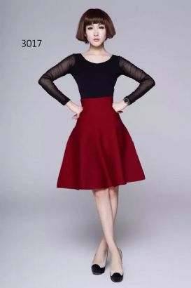 women winter skirt