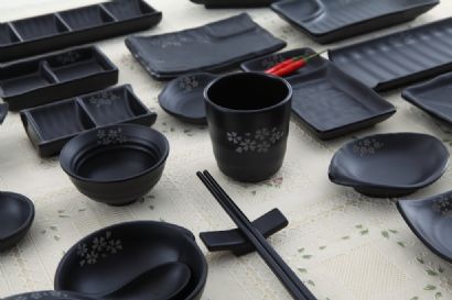 Japanese sushi dinnerware