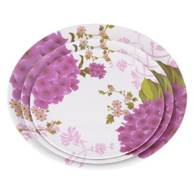 Plate